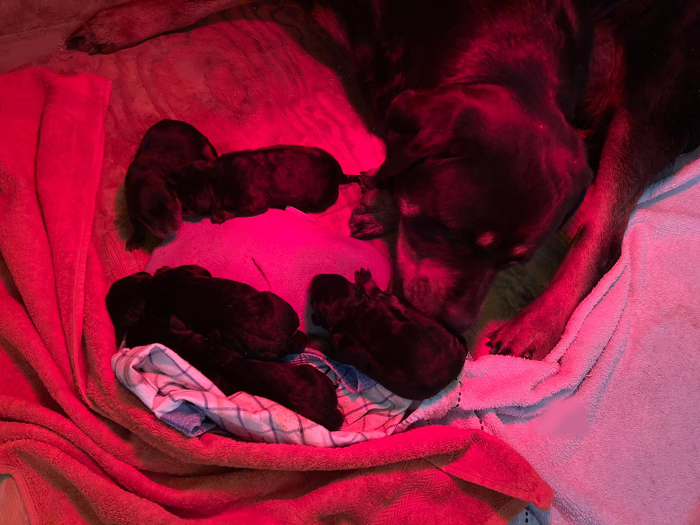 Holly kümmert sich sehr gut.